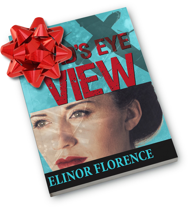 Bird's Eye View by Elinor Florence, book cover has illustration of woman's eyes, and the book is adorned with a red bow