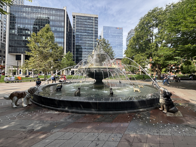 Dog fountain in downtown Toronto features 27 dog statues spouting water