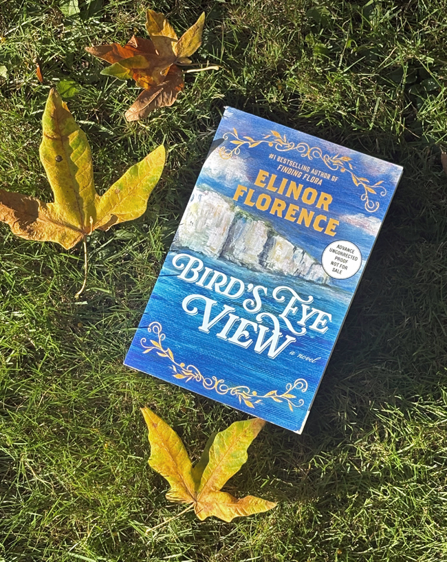 Bird's Eye View, by Elinor Florence, book with blue and white cover lying on green grass surrounded by yellow leaves